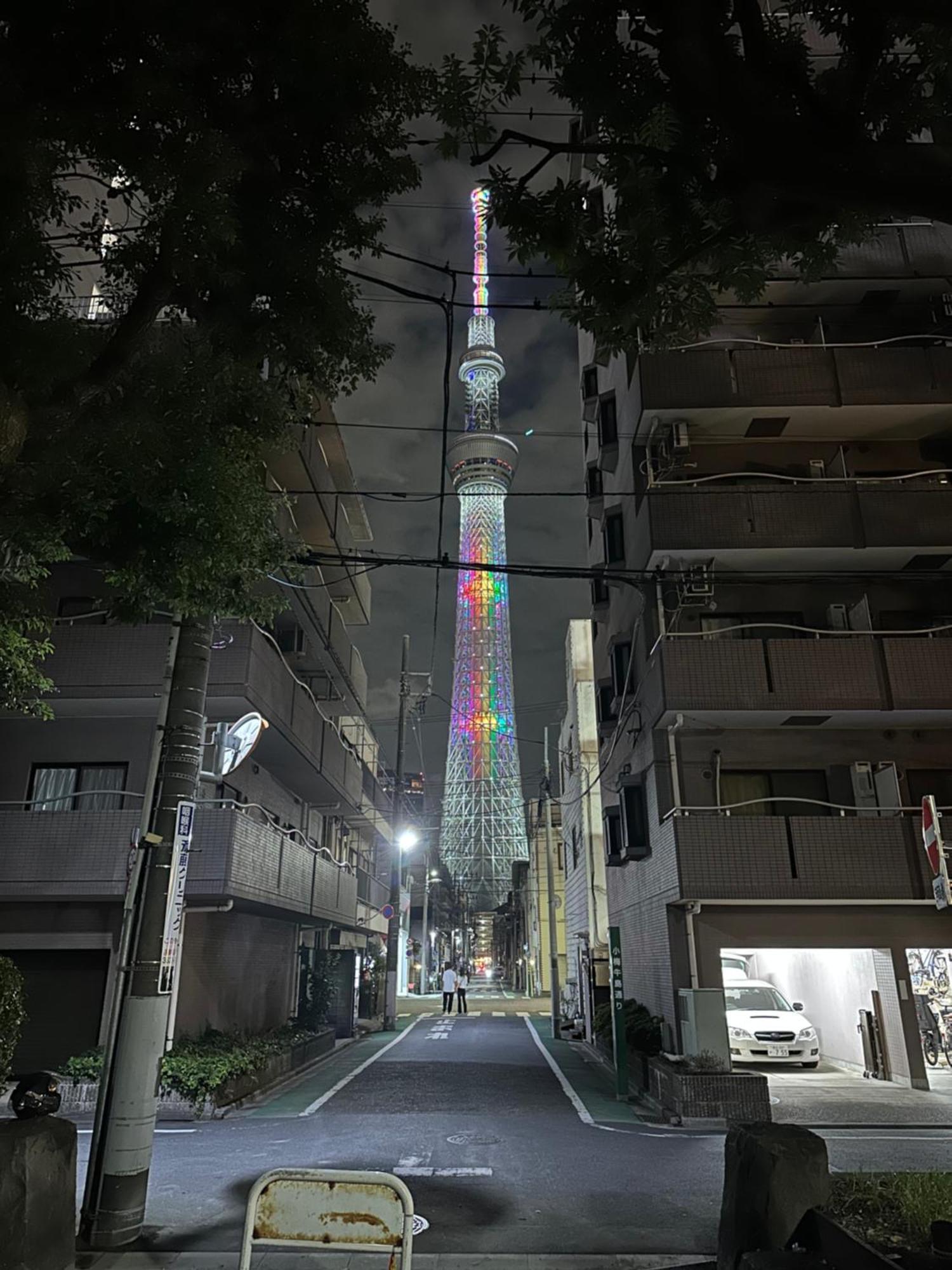 Wise Park Mukojima Daire Tokyo Dış mekan fotoğraf