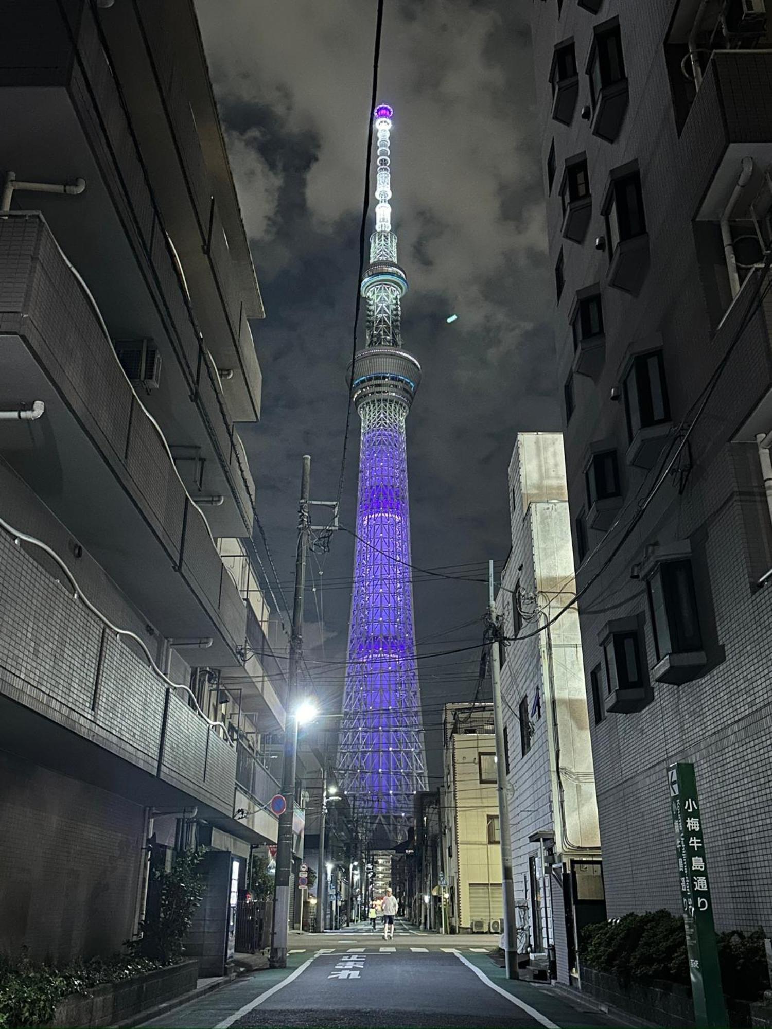 Wise Park Mukojima Daire Tokyo Dış mekan fotoğraf