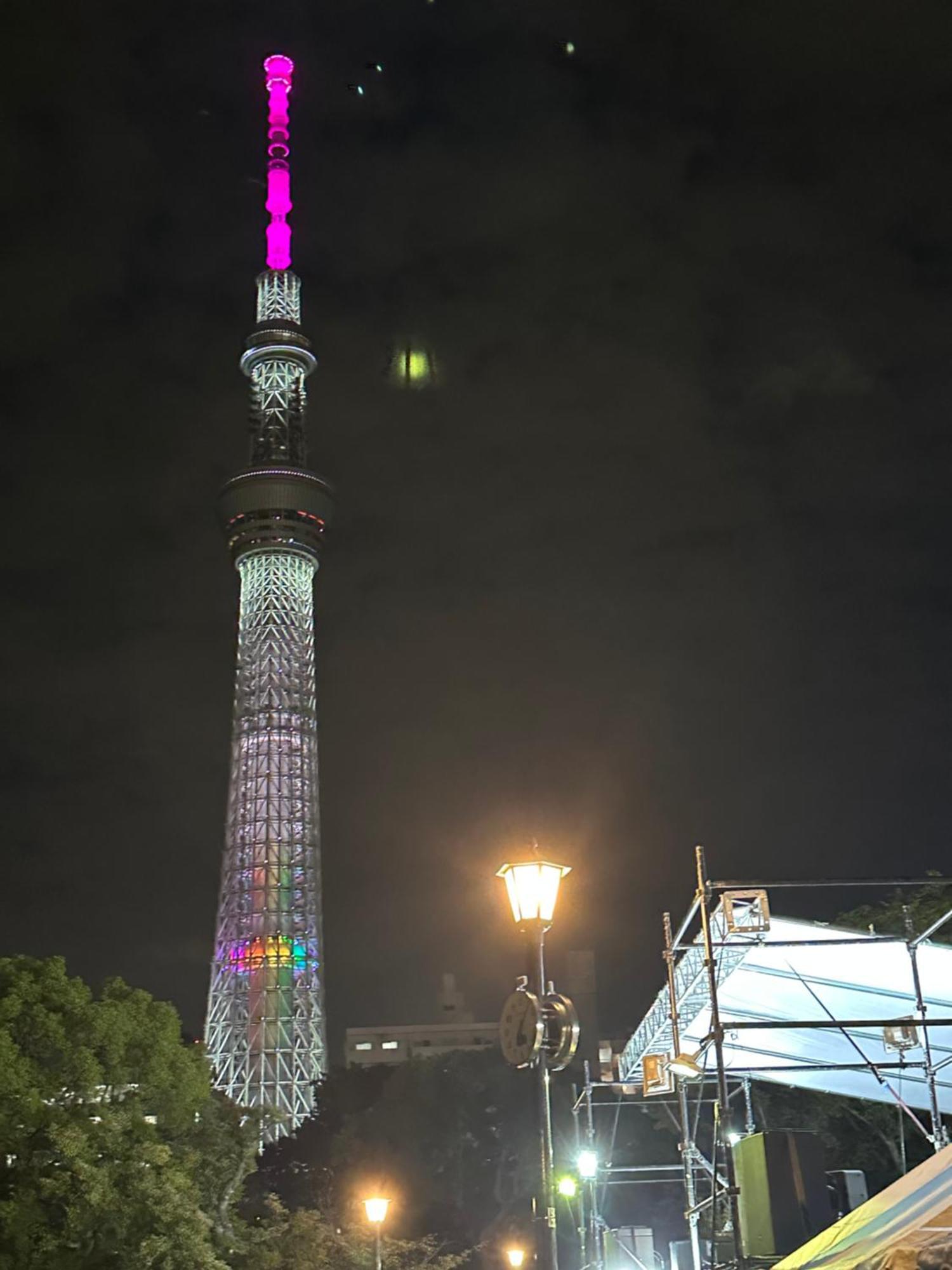 Wise Park Mukojima Daire Tokyo Dış mekan fotoğraf